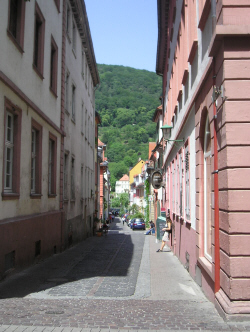 Blick von der in der Altstadt gelegenen Hauptstraße (Fußgängerzone) zum Neckar